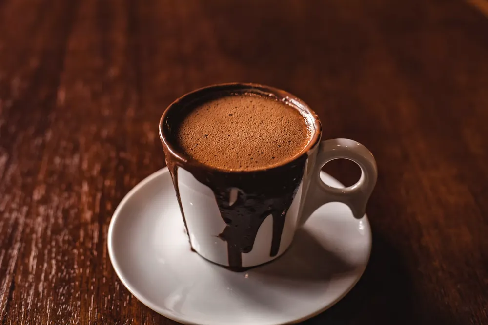 Hot Chocolate Milk